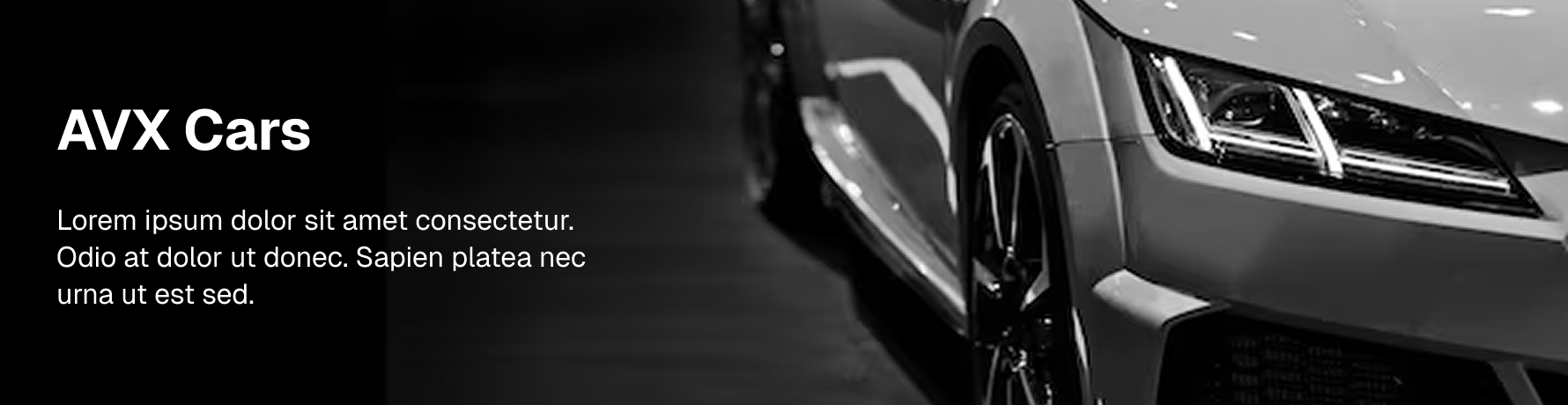 banner